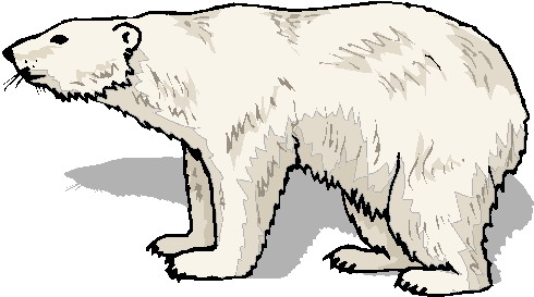 Polar bears clip art