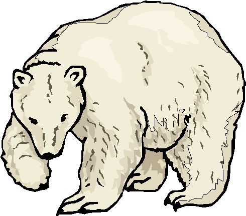 Polar bears clip art