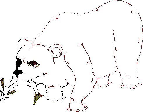 Polar bears clip art