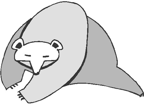 Polar bears clip art