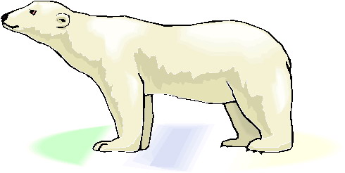 Polar bears clip art