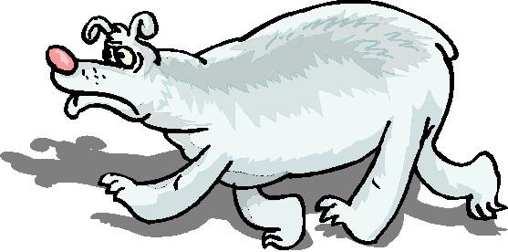 Polar bears clip art