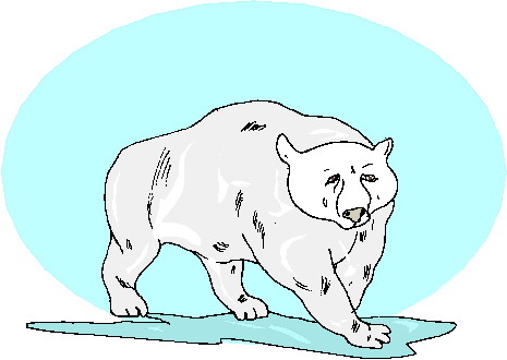 Polar bears clip art