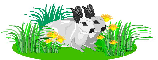 Rabbits clip art