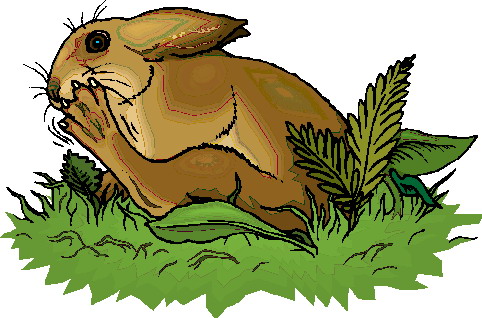 Rabbits clip art