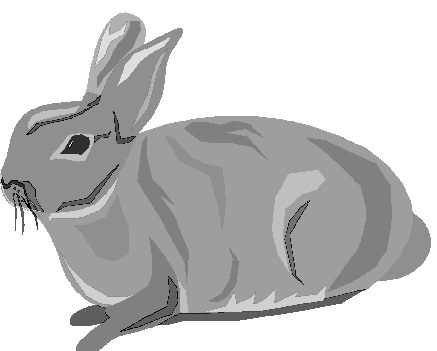 Rabbits clip art