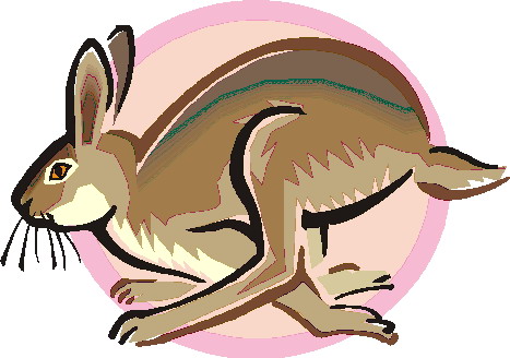 Rabbits clip art