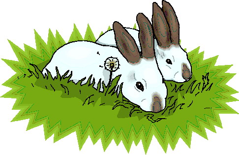 Rabbits clip art
