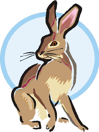 Rabbits clip art