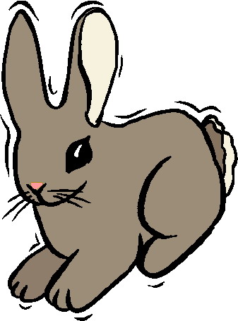 Rabbits clip art