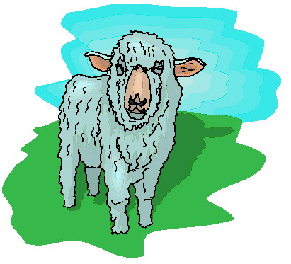 Sheep clip art