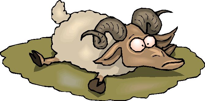 Sheep clip art