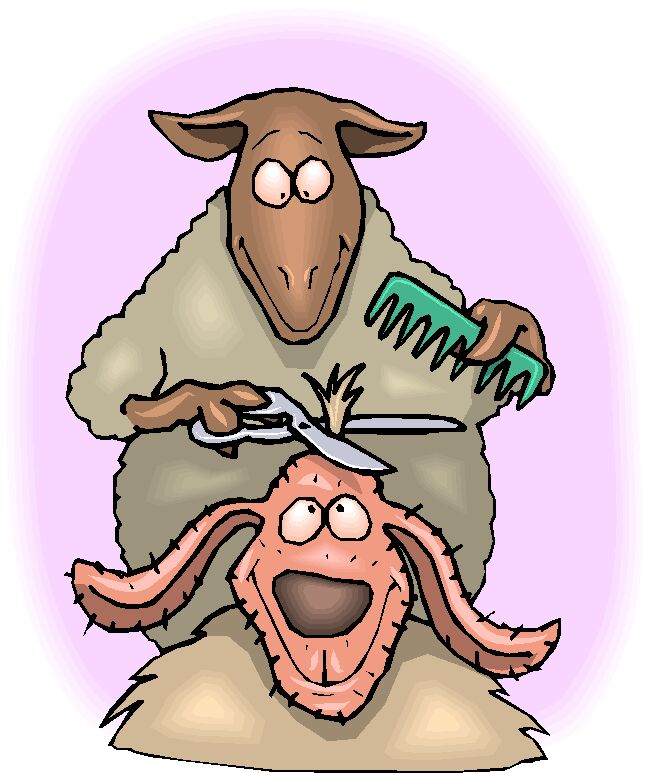 Sheep clip art