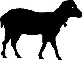 Sheep clip art