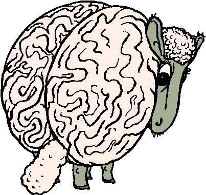 Sheep clip art