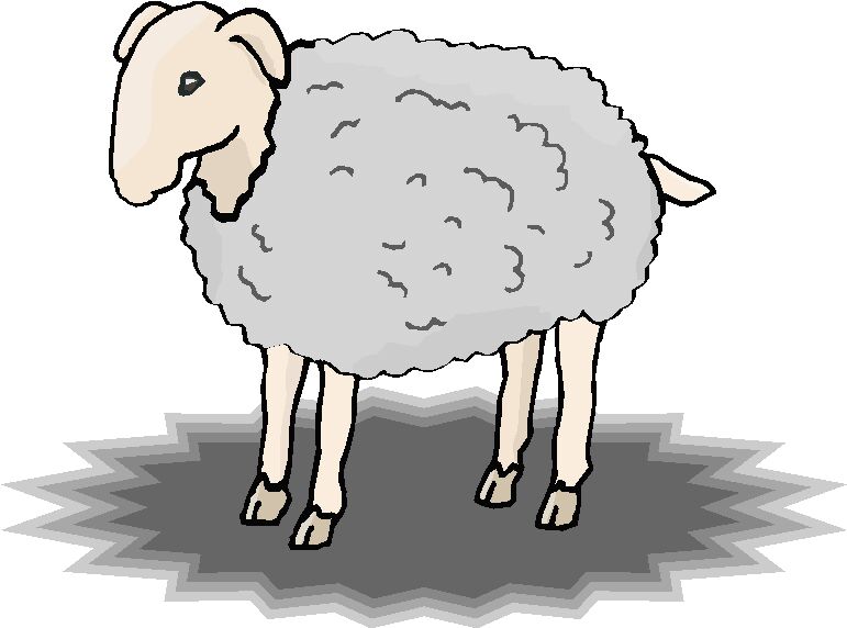 Sheep clip art