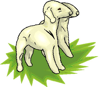 Sheep clip art
