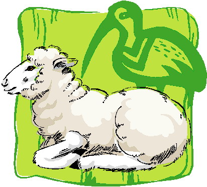 Sheep clip art