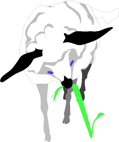 Sheep clip art