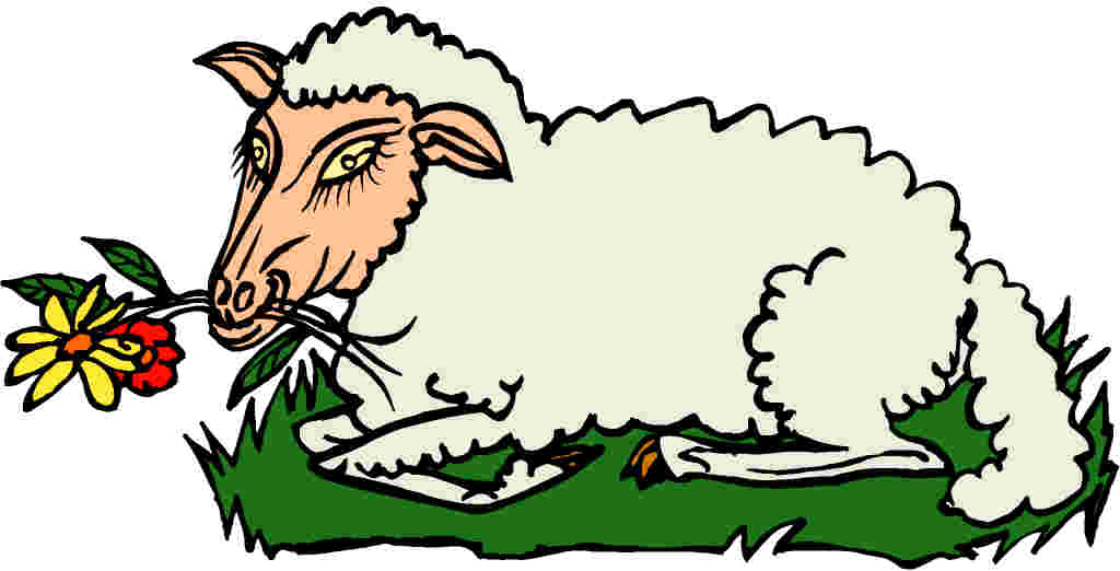 Sheep clip art