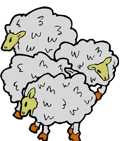 Sheep clip art