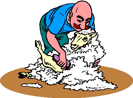 Sheep clip art