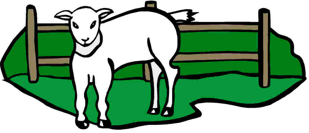 Sheep clip art