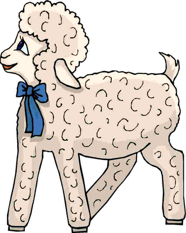 Sheep clip art