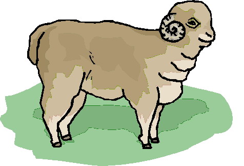 Sheep clip art