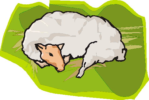 Sheep clip art