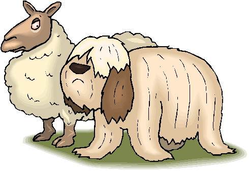 Sheep clip art