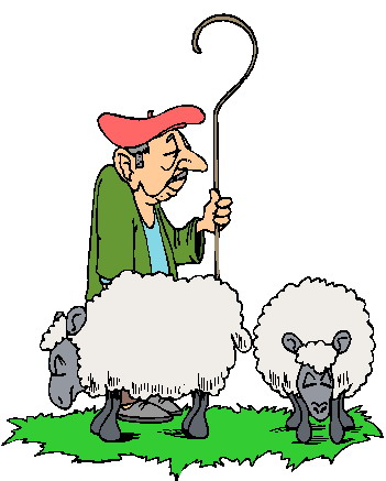 Sheep clip art