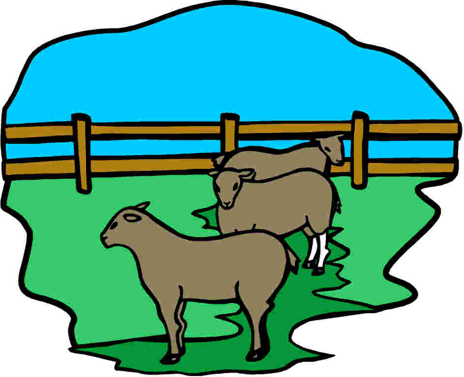 Sheep clip art