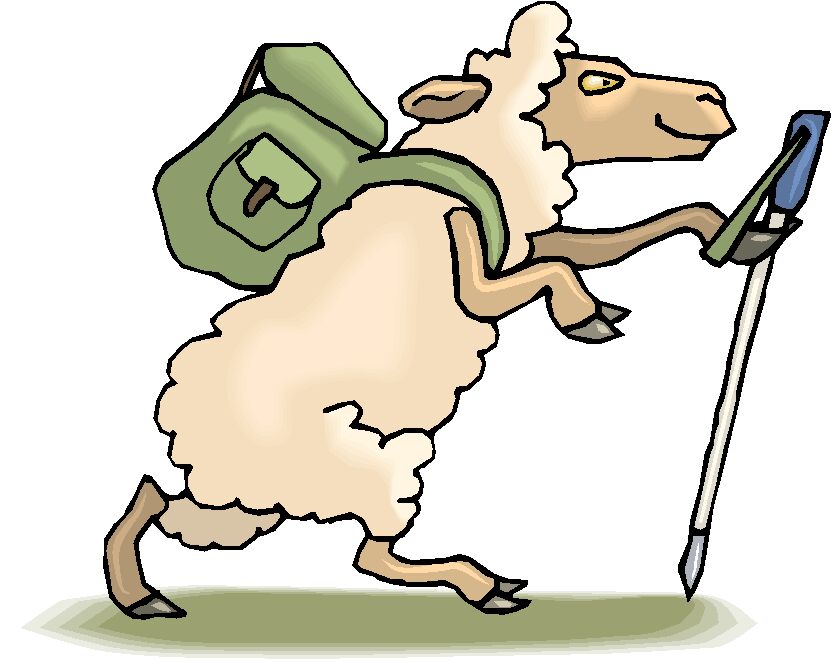 Sheep clip art