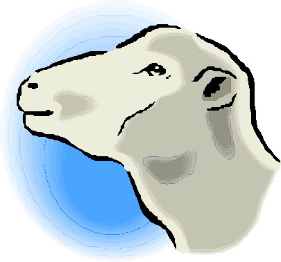 Sheep clip art