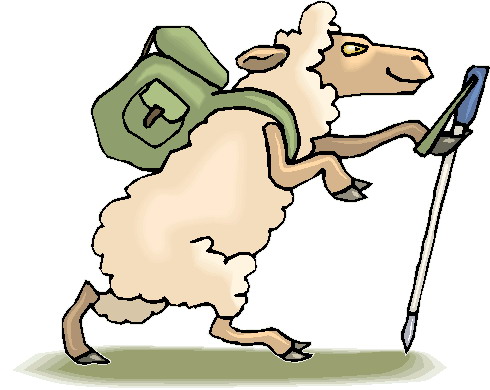 Sheep clip art