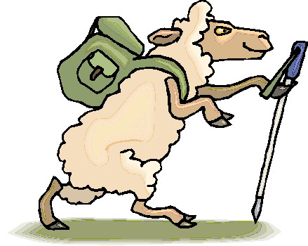 Sheep clip art