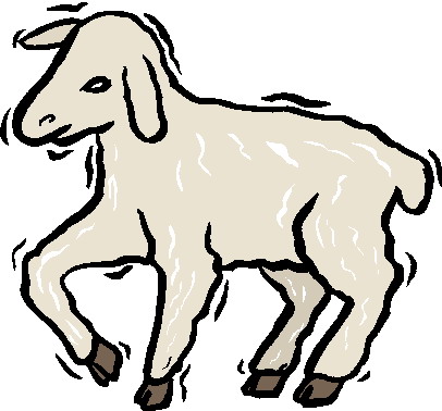 Sheep clip art