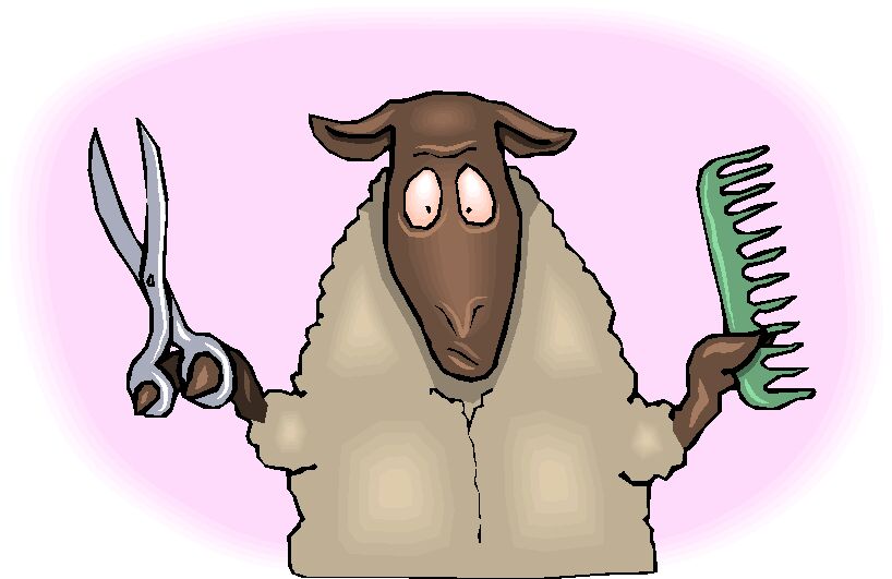 Sheep clip art