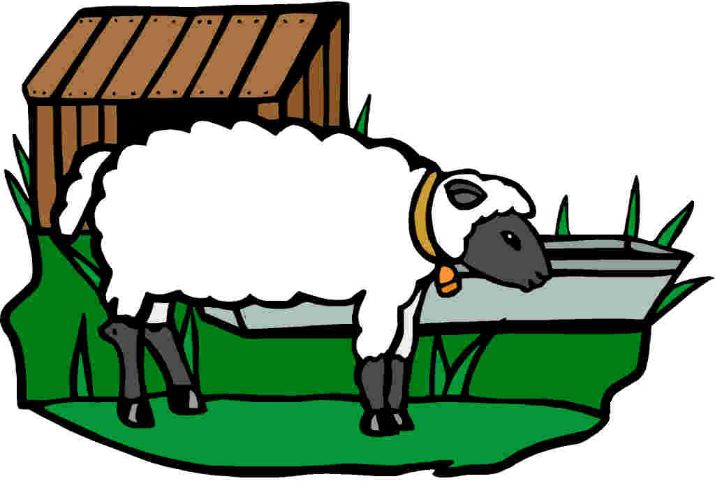 Sheep clip art