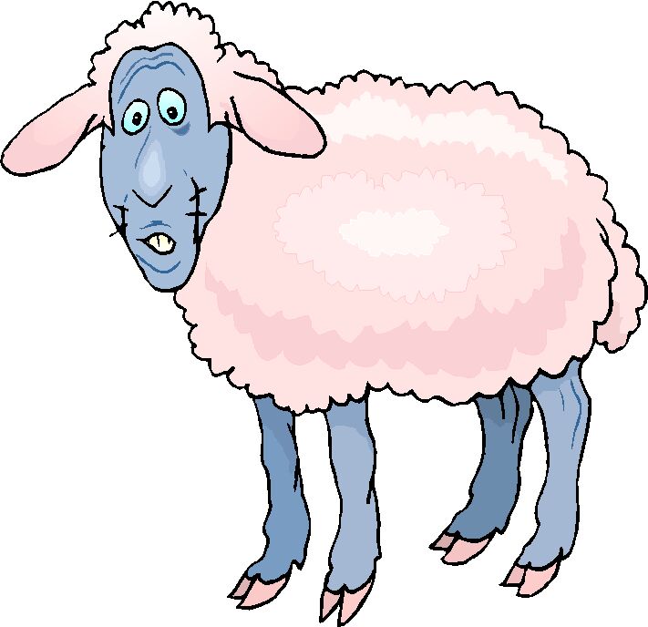 Sheep clip art