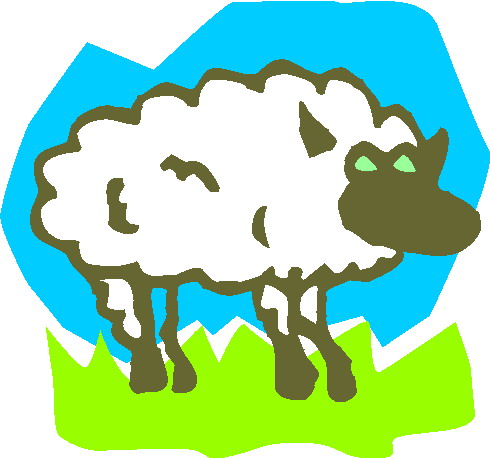 Sheep clip art