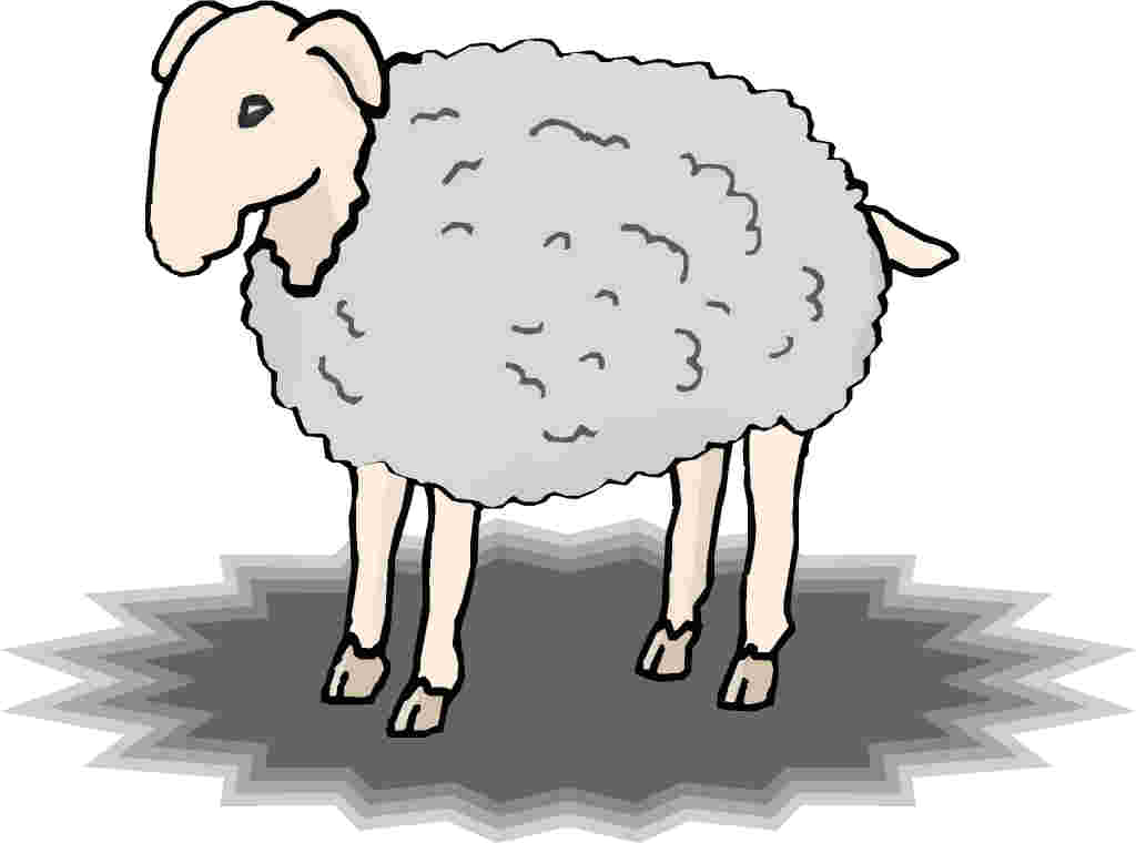 Sheep clip art