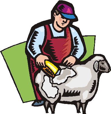 Sheep clip art