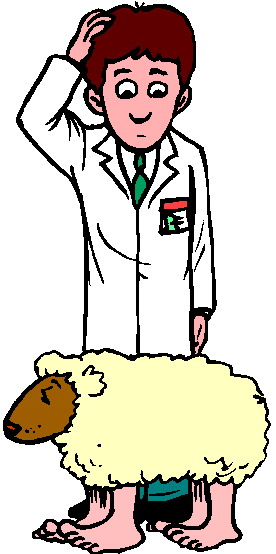 Sheep clip art