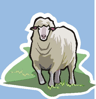 Sheep clip art