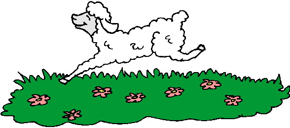 Sheep clip art