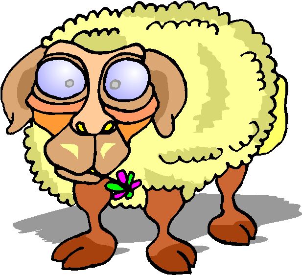 Sheep clip art