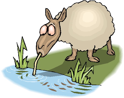 Sheep clip art