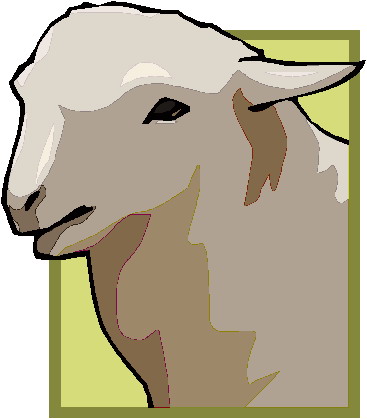 Sheep clip art